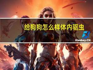 给狗狗怎么样体内驱虫