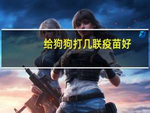 给狗狗打几联疫苗好