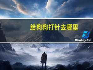 给狗狗打针去哪里