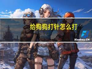 给狗狗打针怎么打