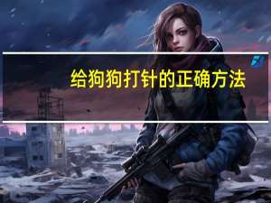 给狗狗打针的正确方法