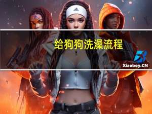给狗狗洗澡流程