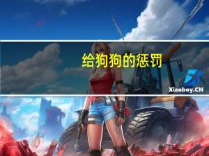 给狗狗的惩罚