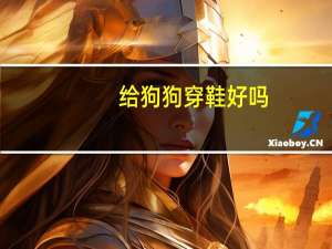 给狗狗穿鞋好吗