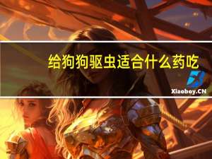 给狗狗驱虫适合什么药吃