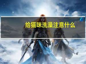 给猫咪洗澡注意什么