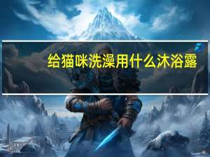 给猫咪洗澡用什么沐浴露