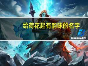 给荷花起有韵味的名字