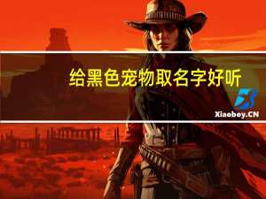 给黑色宠物取名字好听