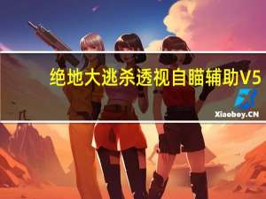 绝地大逃杀透视自瞄辅助 V5.0.01 绿色版（绝地大逃杀透视自瞄辅助 V5.0.01 绿色版功能简介）