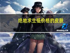 绝地求生低价格的皮肤（绝地求生低价）