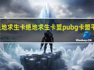 绝地求生卡绝地求生卡盟 pubg卡盟平台官网(绝地求生卡盟吧)