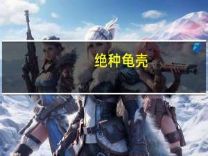 绝种龟壳（关于绝种龟壳的介绍）