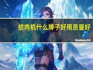 绞肉机什么牌子好用质量好