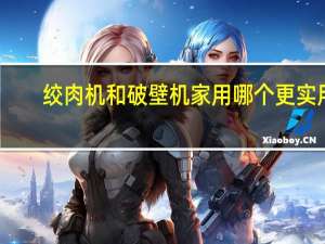 绞肉机和破壁机家用哪个更实用