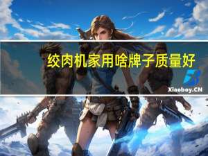 绞肉机家用啥牌子质量好