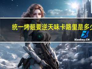 统一 烤翅要逆天味卡路里是多少