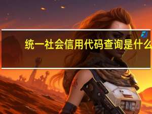 统一社会信用代码查询是什么