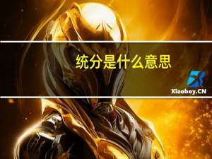 统分是什么意思