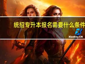 统招专升本报名需要什么条件