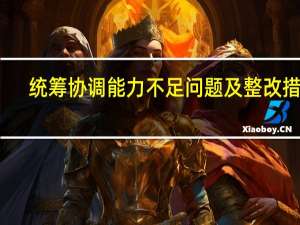 统筹协调能力不足问题及整改措施