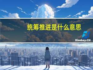 统筹推进是什么意思