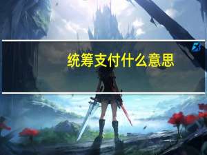 统筹支付什么意思