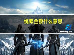 统筹金额什么意思