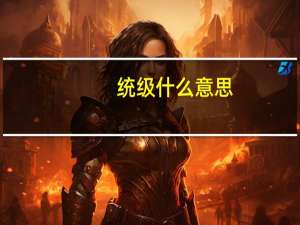 统级什么意思