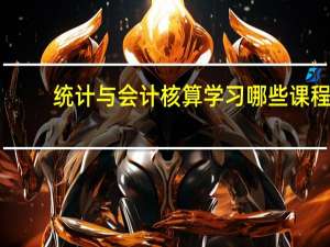 统计与会计核算学习哪些课程