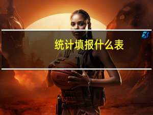 统计填报什么表