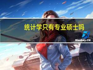 统计学只有专业硕士吗