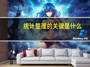 统计整理的关键是什么