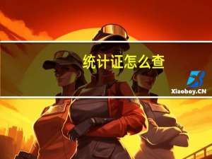 统计证怎么查
