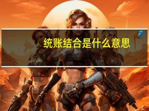 统账结合是什么意思