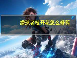 绣球老枝开花怎么修剪