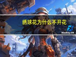 绣球花为什么不开花