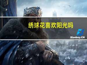 绣球花喜欢阳光吗