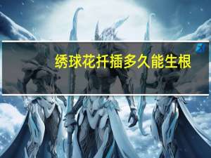 绣球花扦插多久能生根