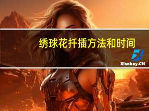 绣球花扦插方法和时间