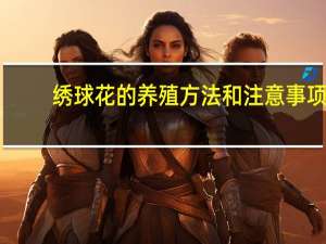 绣球花的养殖方法和注意事项：防止积水,防止肉质根腐烂