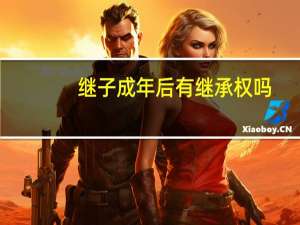 继子成年后有继承权吗