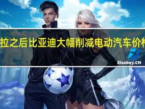 继特斯拉之后 比亚迪大幅削减电动汽车价格以应对竞争