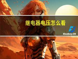 继电器电压怎么看