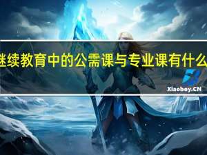 继续教育中的公需课与专业课有什么区别吗