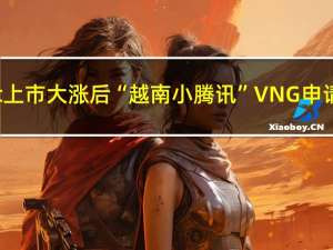 继VinFast上市大涨后 “越南小腾讯”VNG申请赴美上市