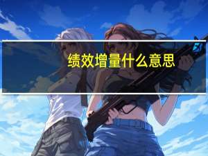 绩效增量什么意思