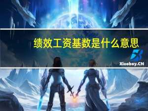 绩效工资基数是什么意思