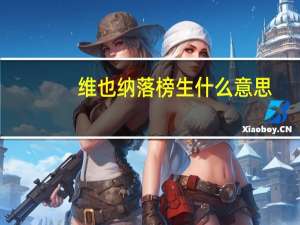 维也纳落榜生什么意思