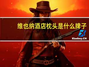 维也纳酒店枕头是什么牌子